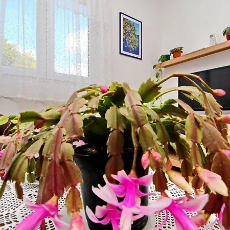 公寓 Nodilo - One Bedroom With Balcony And Sea View 1